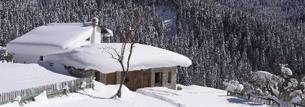 Pertouli Trikala - The best winter destination